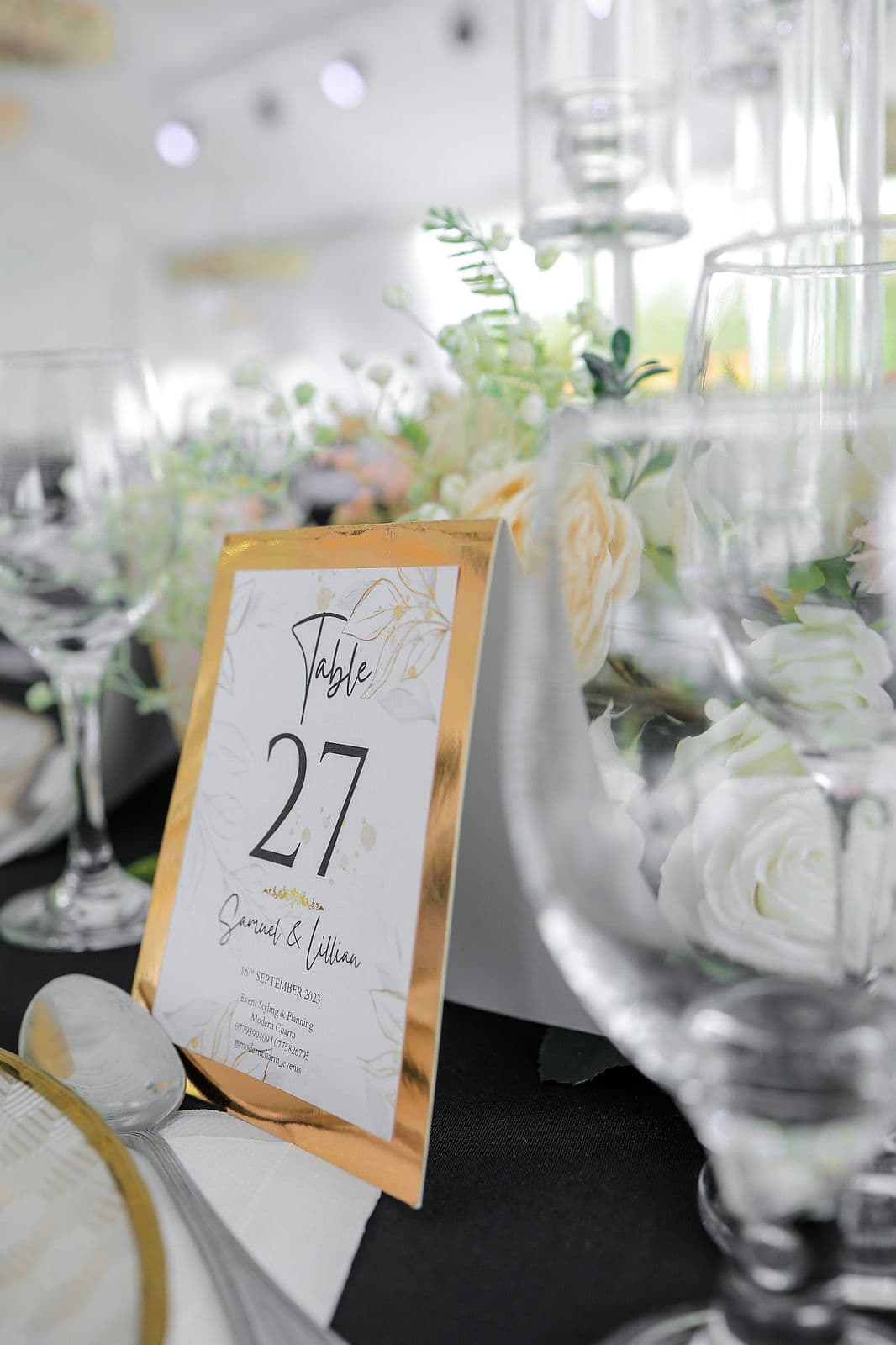 Sammy & Lala — photo 5