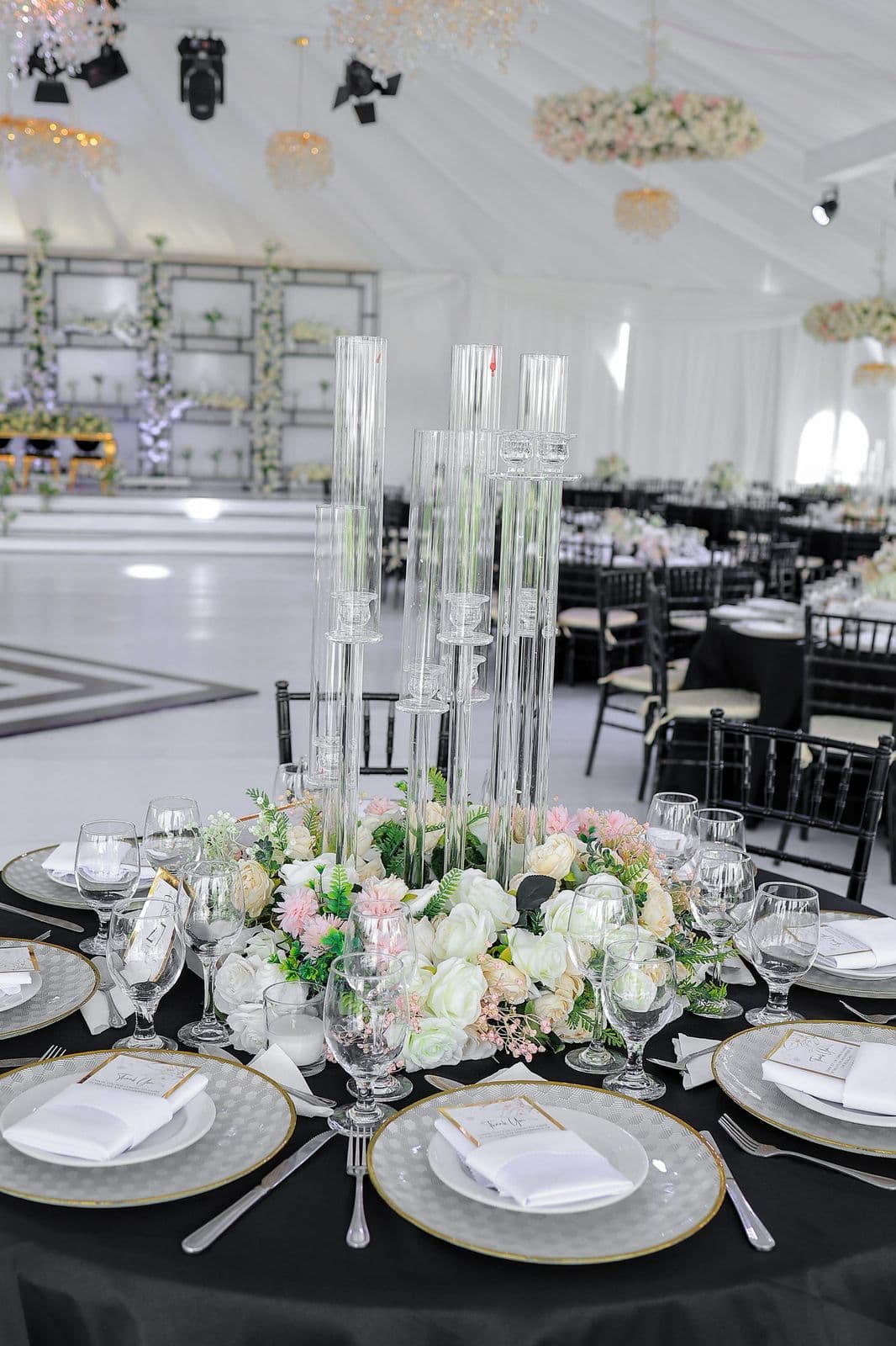 Sammy & Lala — photo 6